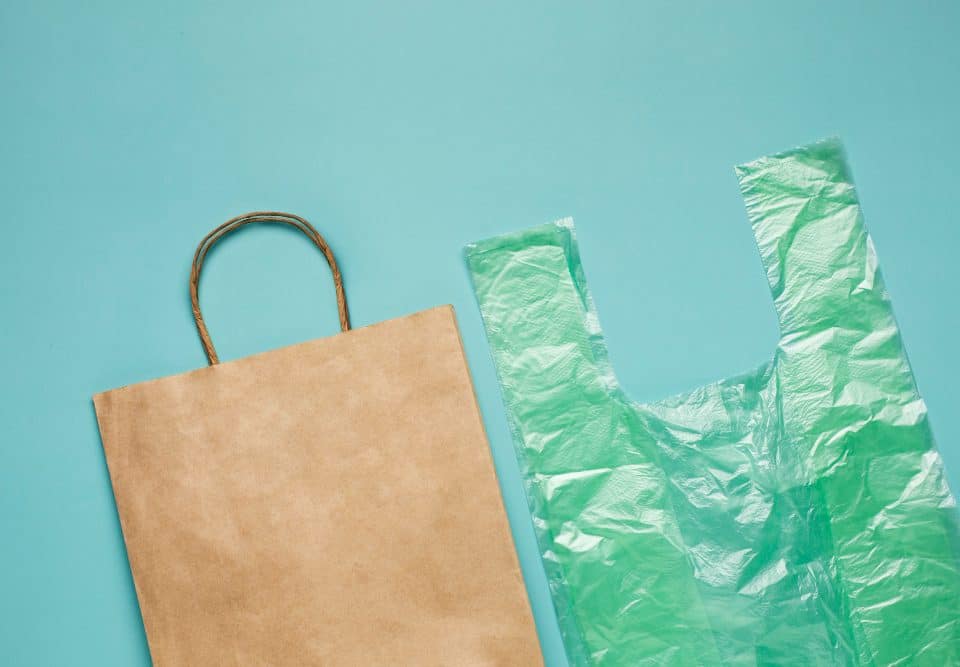 O que são Ecobags e onde comprar